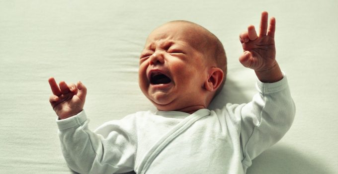 bayi alergi susu sapi